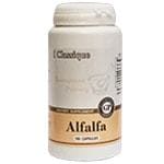 alfalfa-100-kaps-maisto papildas-santegra